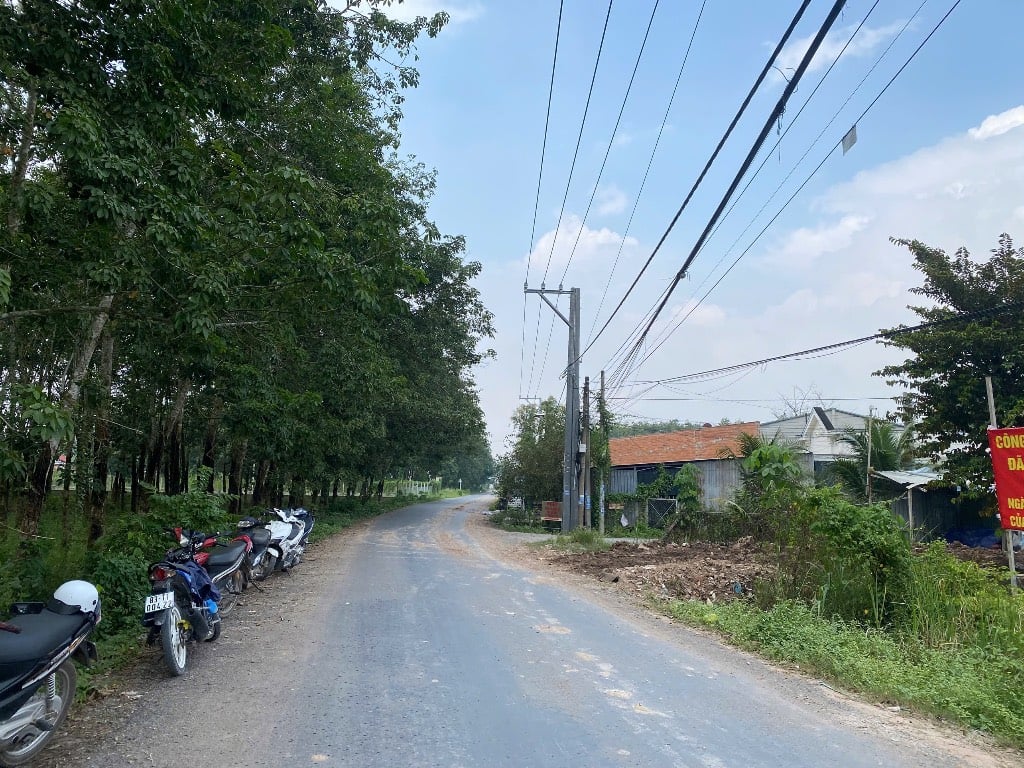 Bán đất 906,5m2 200 thổ cư tại khu vực Trảng Bàng, Tây Ninh