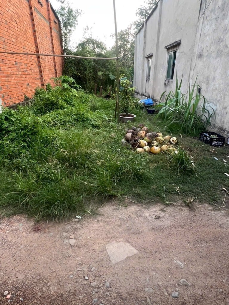 Bán đất Khu phố Tân Lộc, Trảng Bàng, Tây Ninh, diện tích 56,9m2 full thổ cư, giá chỉ 500 triệu