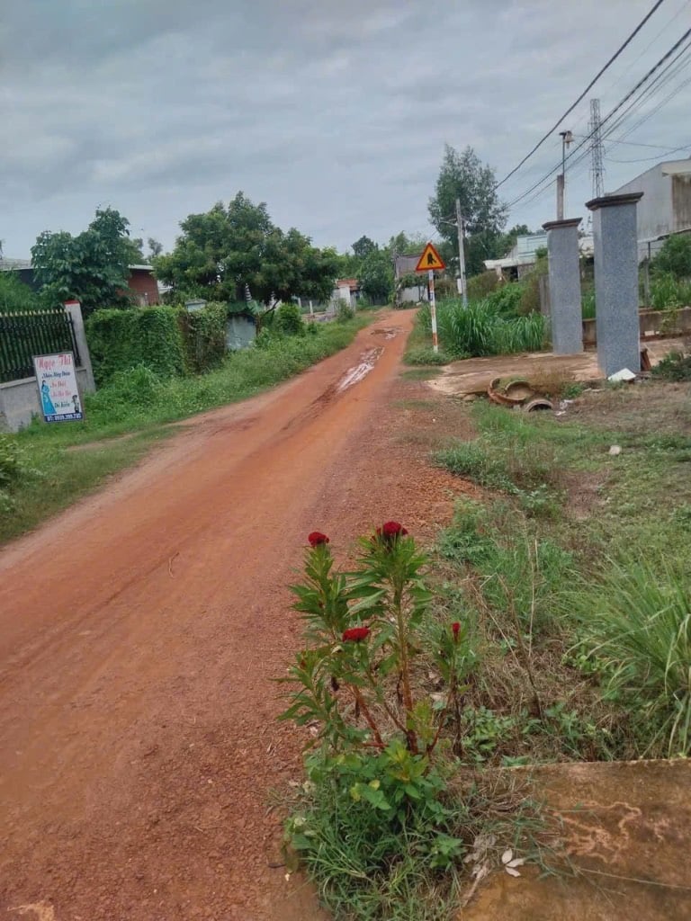 Bán đất tại phường Trảng Bàng, khu dân cư đông đúc