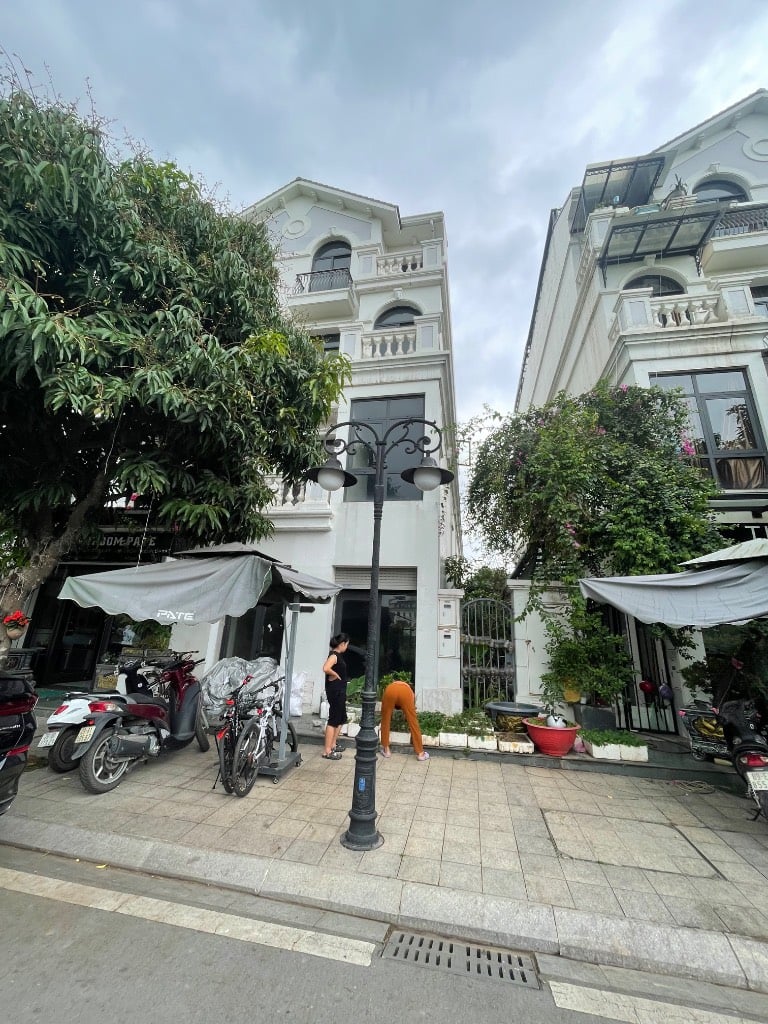 CẦN BÁN GẤP BIỆT THỰ VINHOMES OCEAN PARK 1 GIA LÂM, DT 95M2, SỔ LÂU DÀI, GIÁ CHỈ 19 TỶ