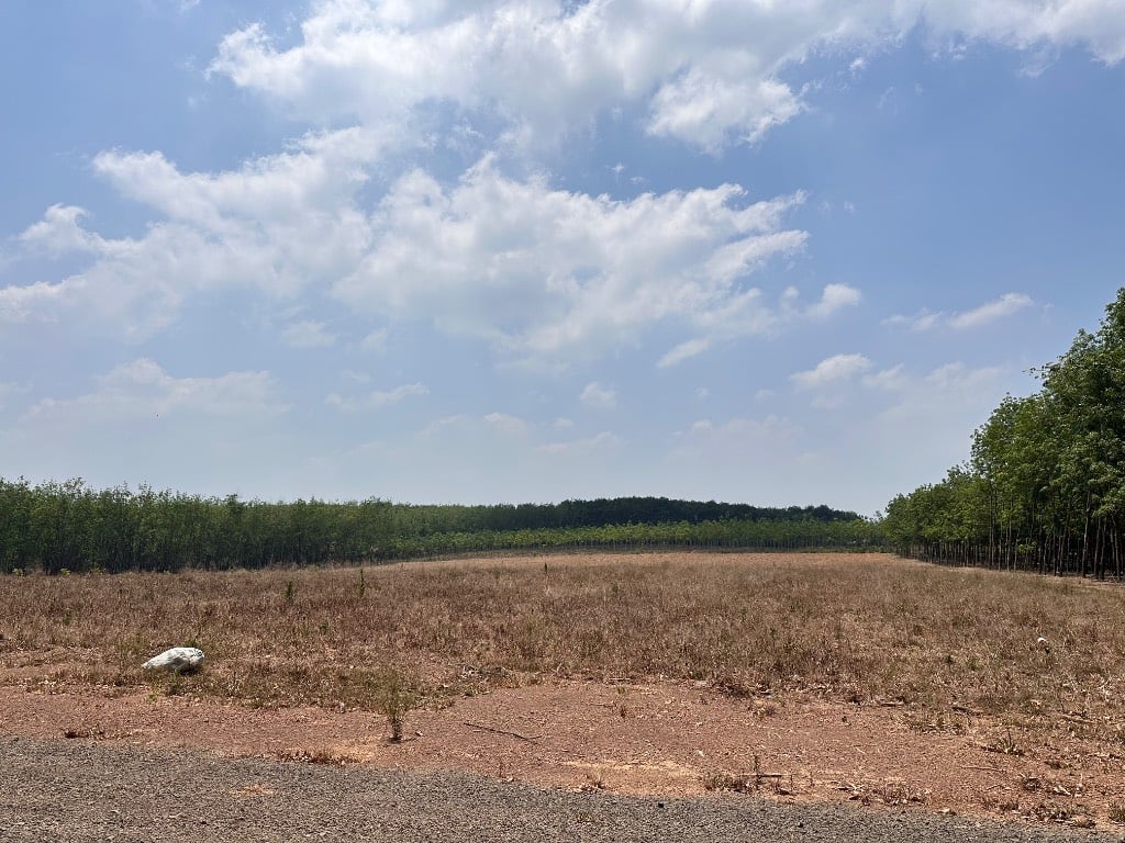 Cần bán đất tại Xã Thuận Lợi Đồng Phú, Bình Phước, 1000m2  giá rẻ đầu tư