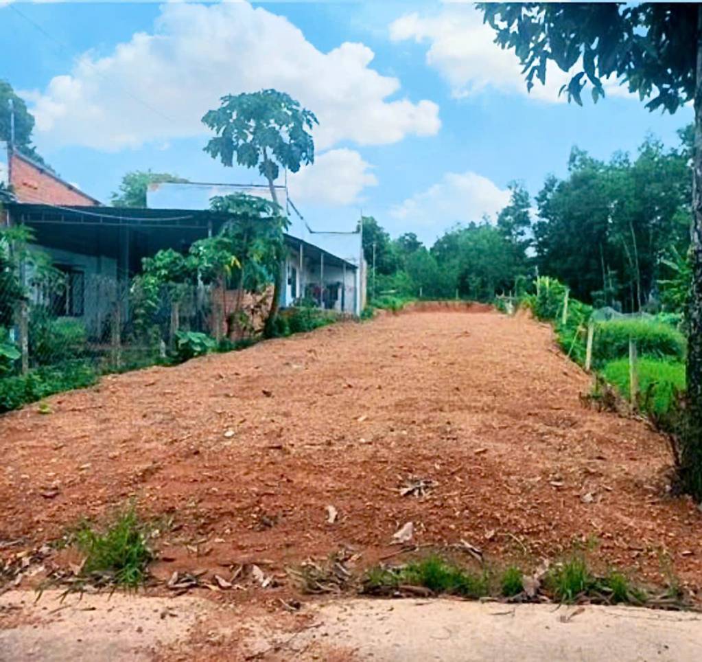 Bán đất xã Trị An 8×60m (489m²) – 200m² thổ cư – cách DT 768 100m qnl17