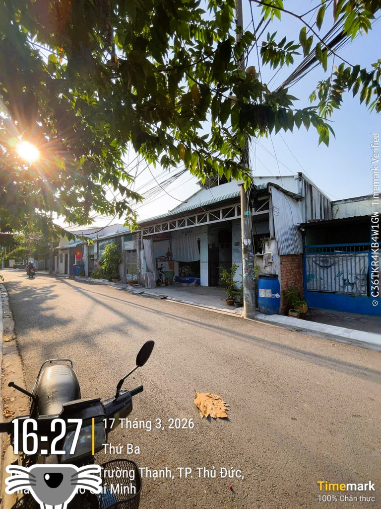 thuviennhadat.vn