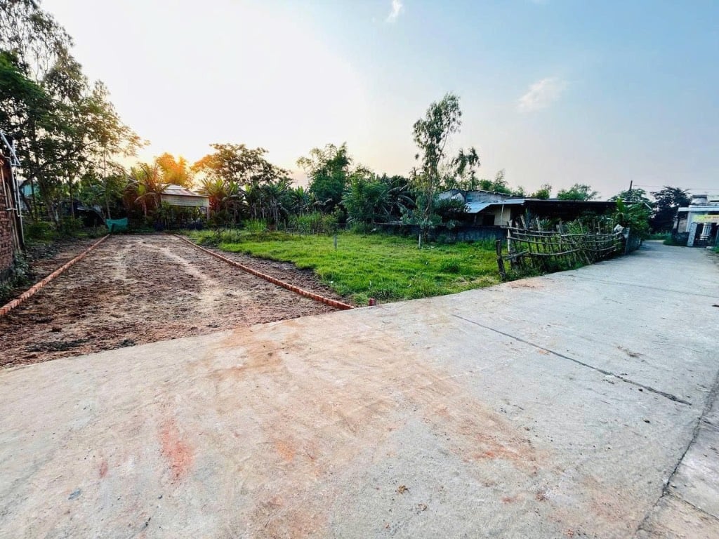 thuviennhadat.vn