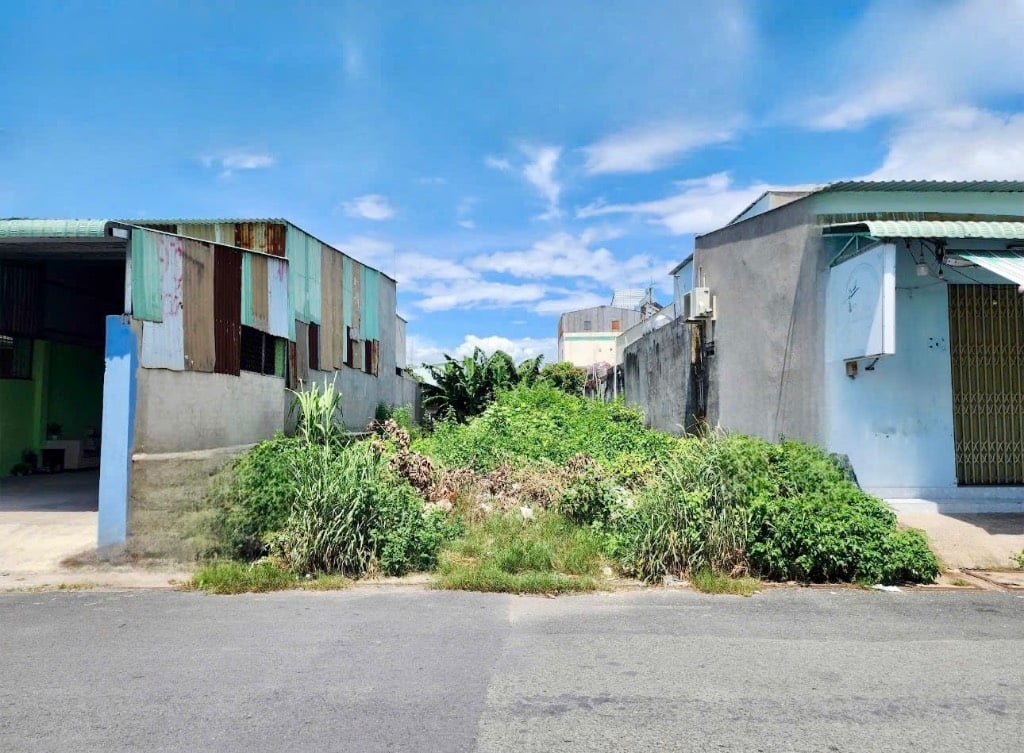 CHÍNH CHỦ BÁN LÔ ĐẤT MẶT TIỀN 79 TÂN PHÚ TRUNG, CỦ CHI, GIÁ NGỘP