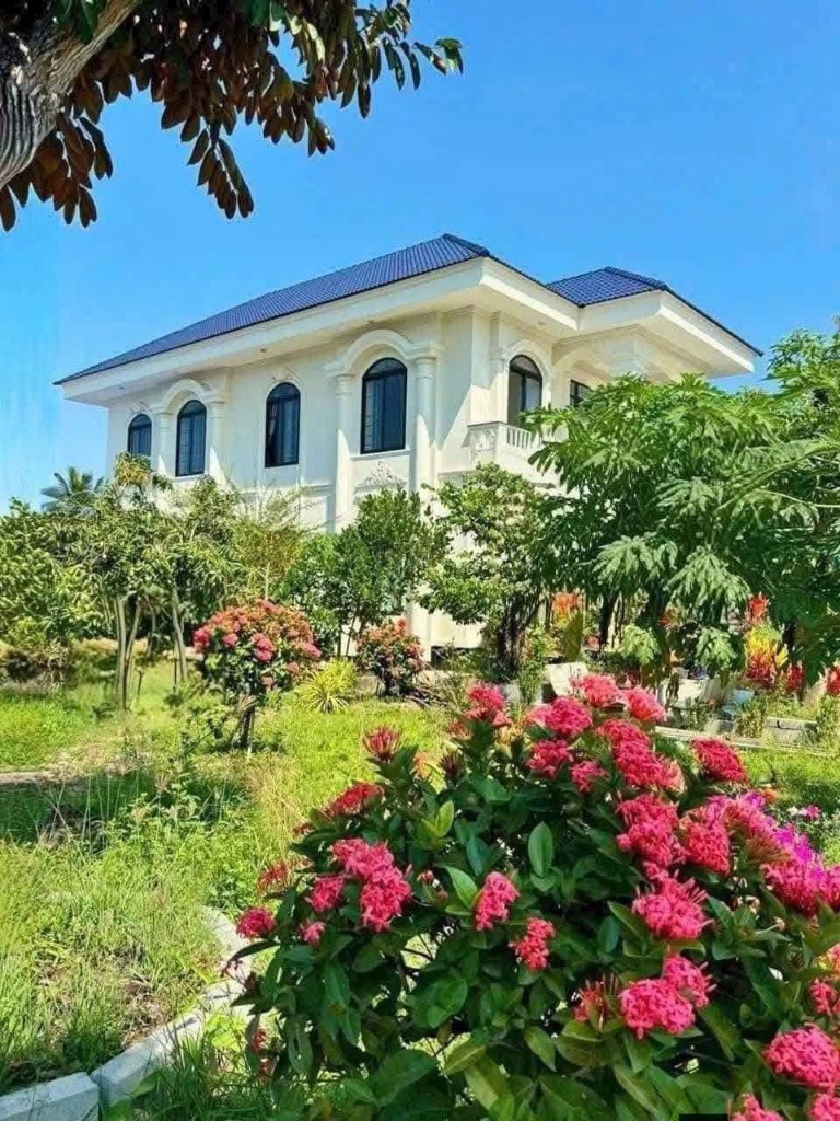 thuviennhadat.vn