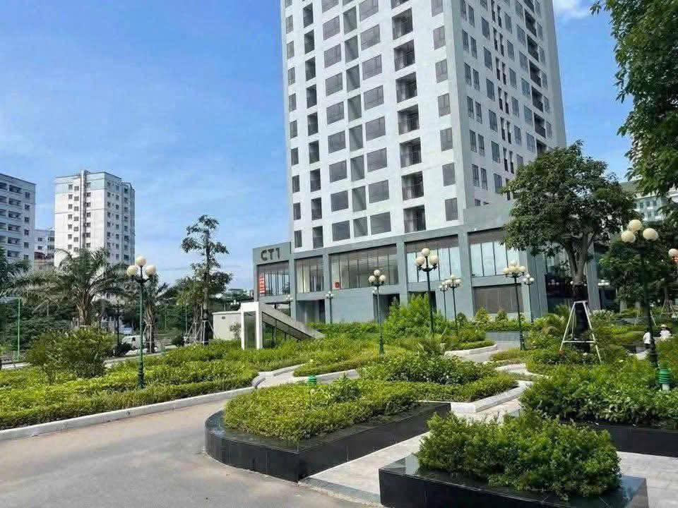 thuviennhadat.vn
