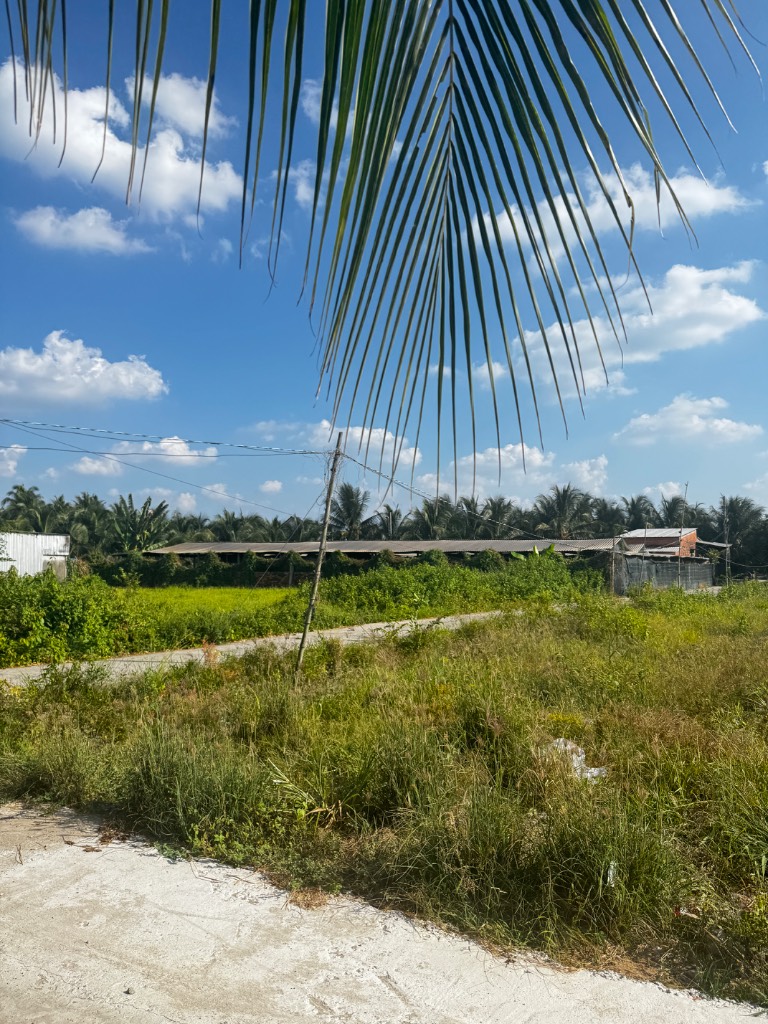 thuviennhadat.vn