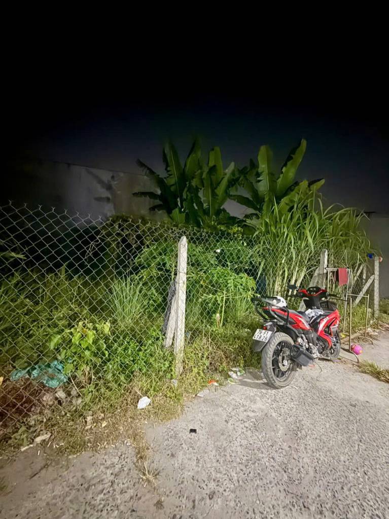 thuviennhadat.vn