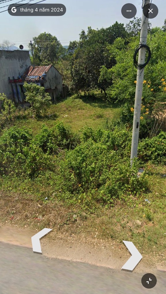 thuviennhadat.vn