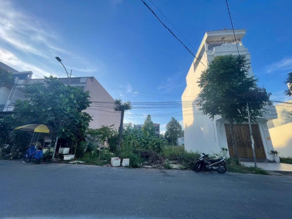 thuviennhadat.vn