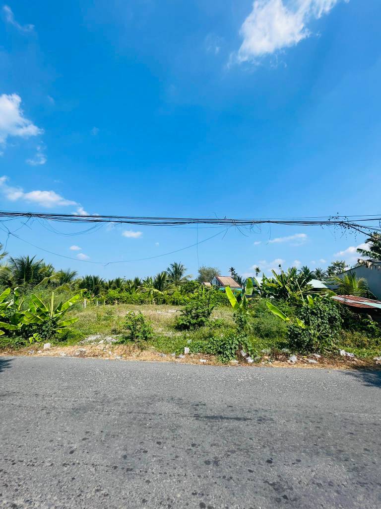 thuviennhadat.vn