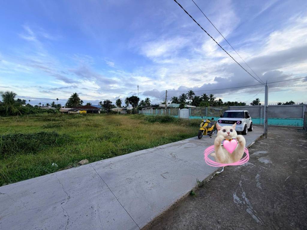 thuviennhadat.vn