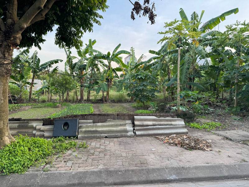 thuviennhadat.vn