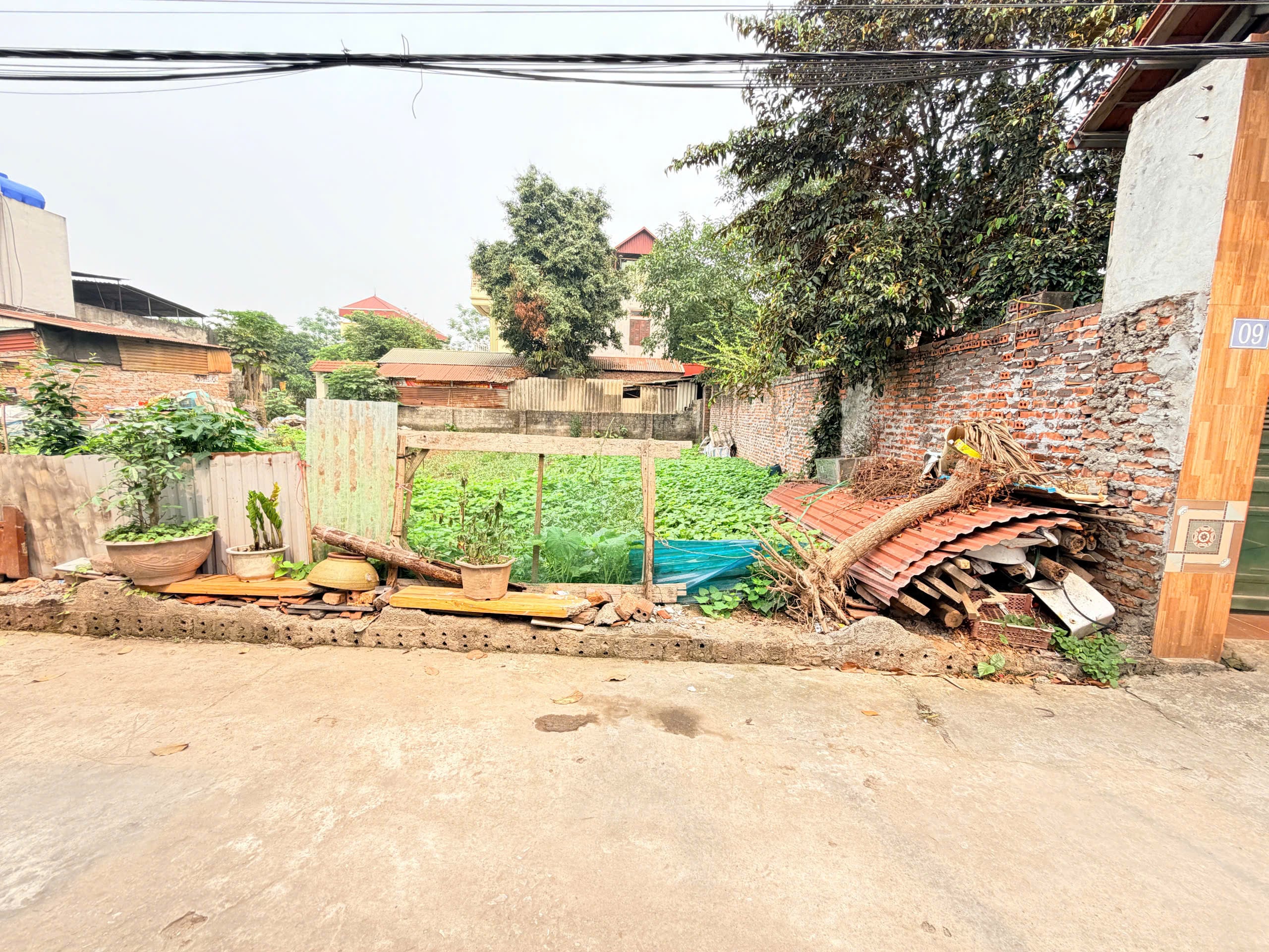 thuviennhadat.vn