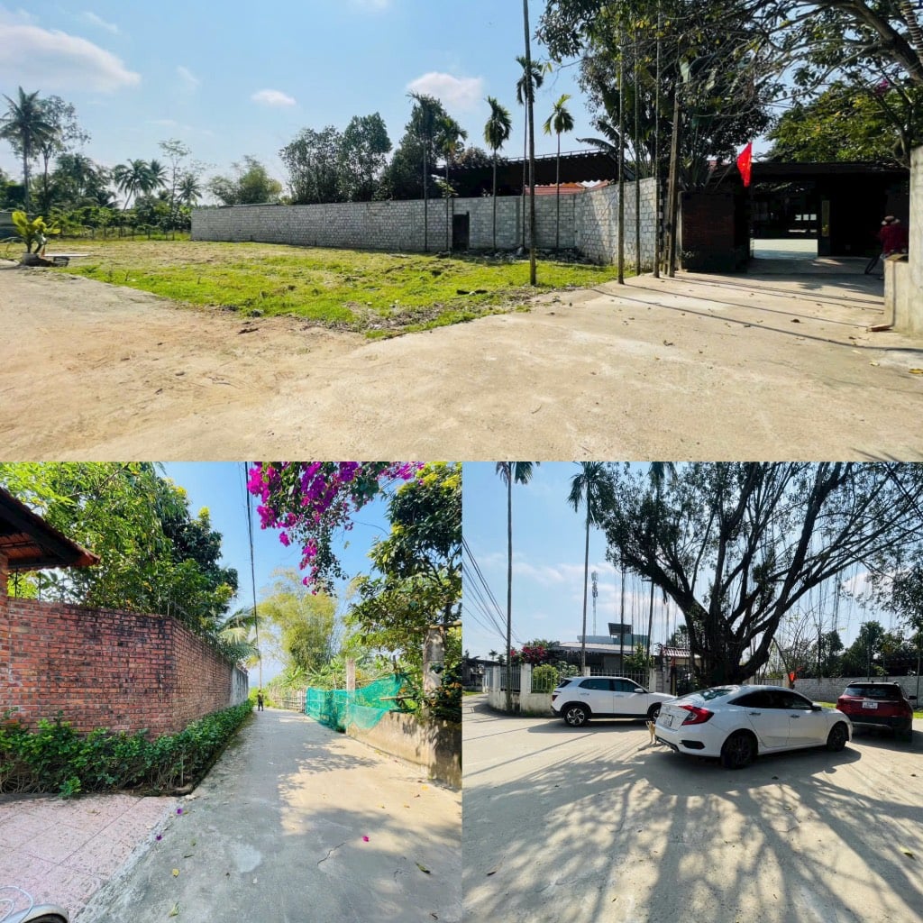 SỞ HỮU NGAY ĐẤT VEN SÔNG CẦU ĐỎ CHỈ TỪ 1.4x TỶ