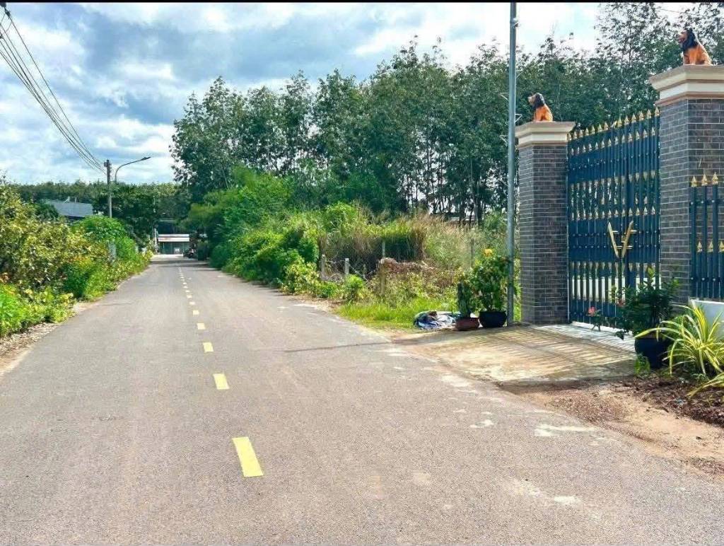 BÁN ĐẤT AN LINH, PHÚ GIÁO, BÌNH DƯƠNG, DT 343M2 CÓ 100M2 THỔ CƯ, GIÁ RẺ, SỔ SẴN, ĐƯỜNG 8M