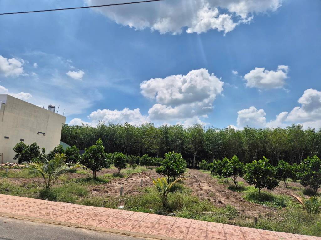 BÁN ĐẤT AN LINH, PHÚ GIÁO, BÌNH DƯƠNG, DT 343M2 CÓ 100M2 THỔ CƯ, GIÁ RẺ, SỔ SẴN, ĐƯỜNG 8M