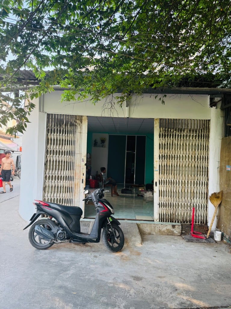 thuviennhadat.vn