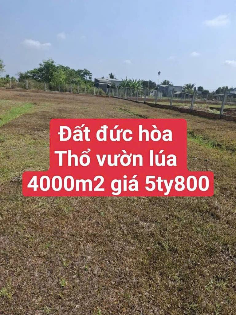 thuviennhadat.vn