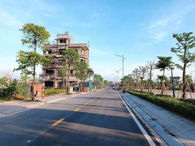 thuviennhadat.vn