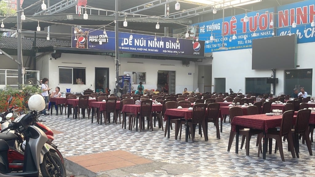 thuviennhadat.vn