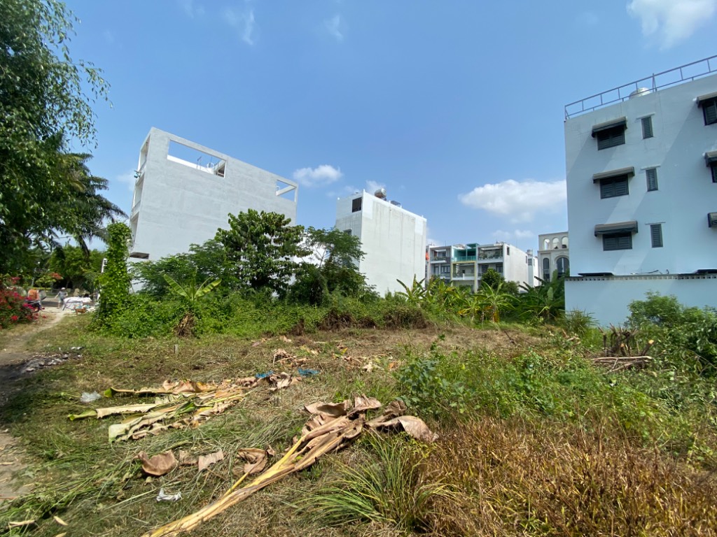 thuviennhadat.vn
