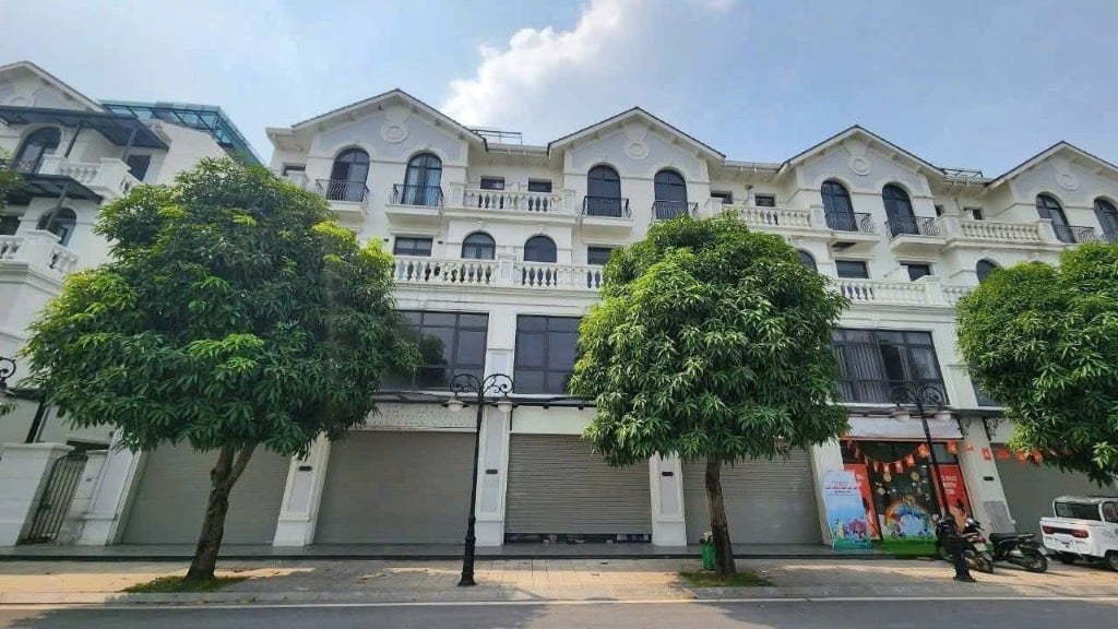 thuviennhadat.vn