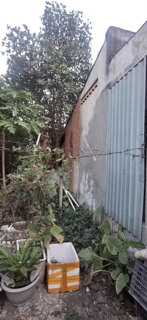 thuviennhadat.vn