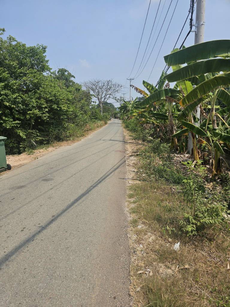 Bán đất 864m2 Cây Trôm Mỹ Khánh, Củ Chi, Hồ Chí Minh, Sổ đỏ sẵn