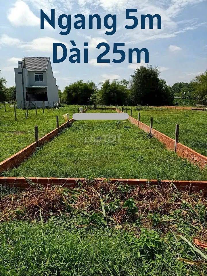 thuviennhadat.vn