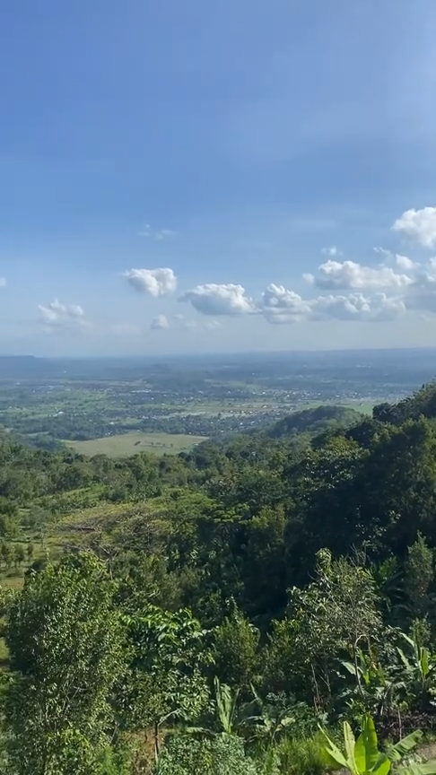 thuviennhadat.vn