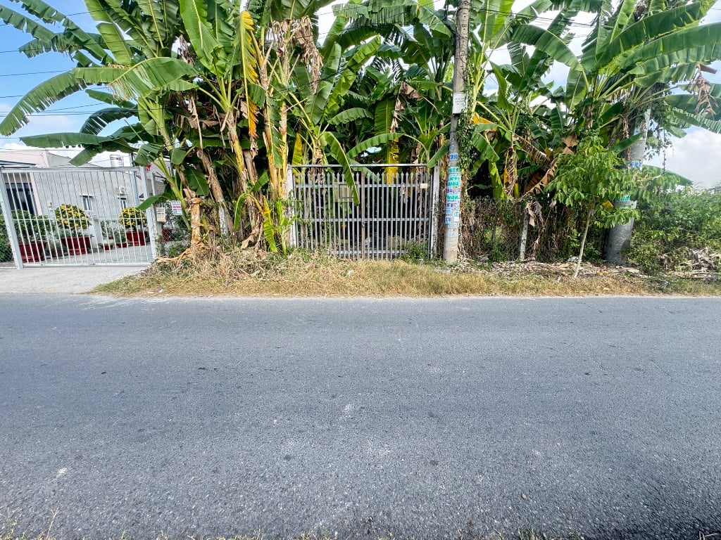 thuviennhadat.vn