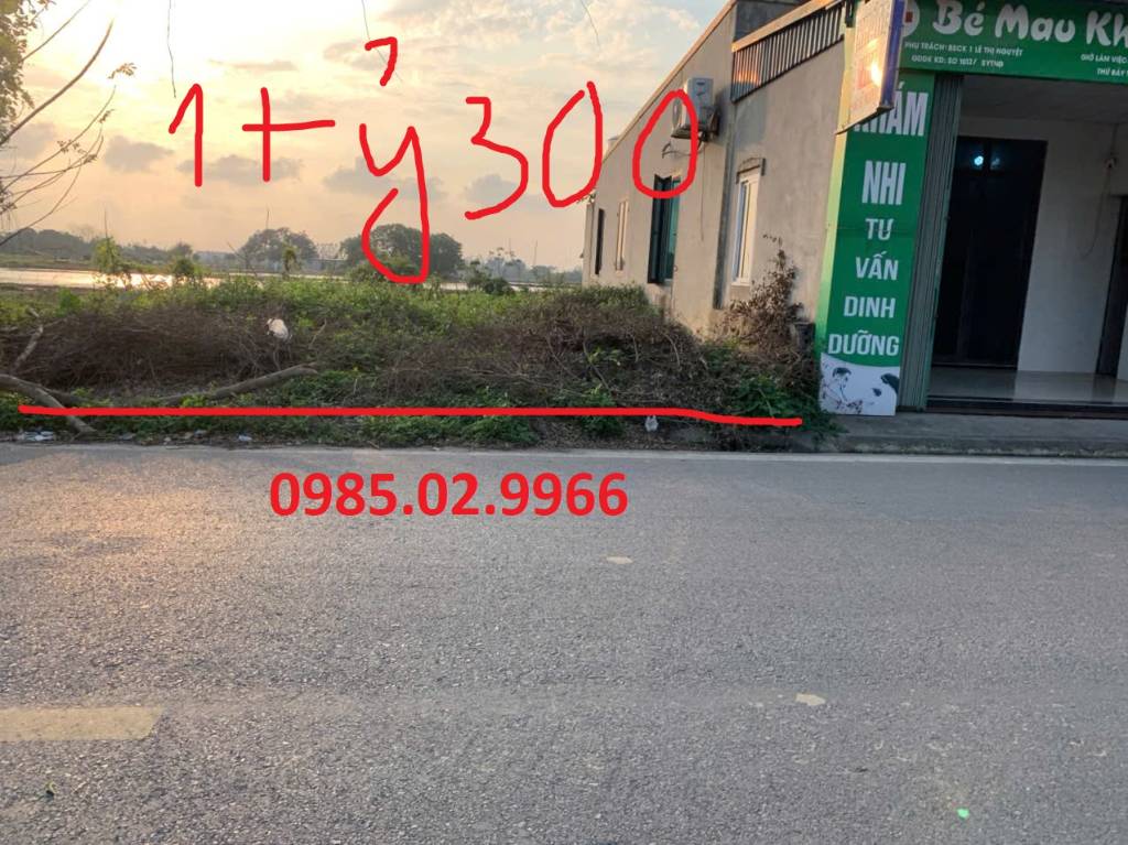 thuviennhadat.vn