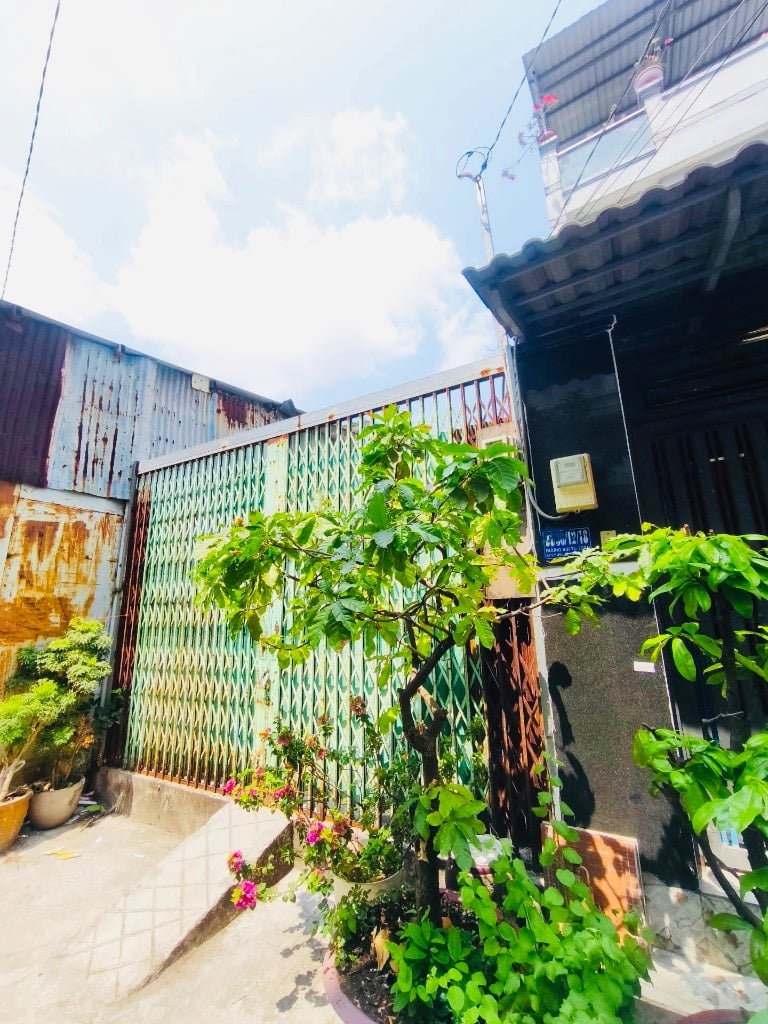 thuviennhadat.vn