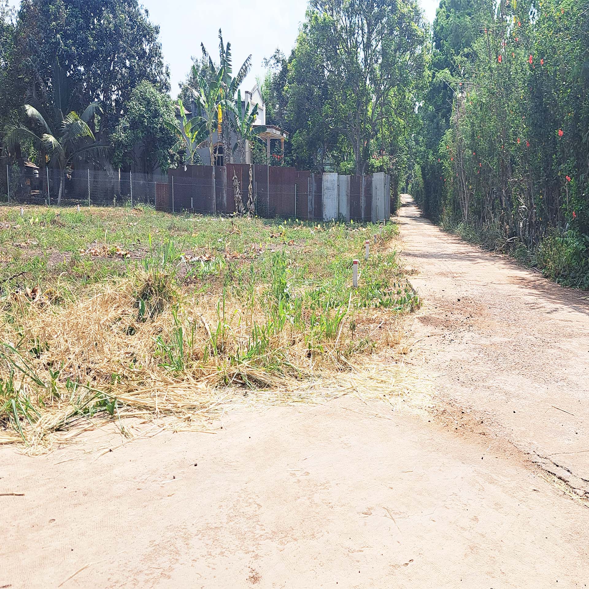 thuviennhadat.vn
