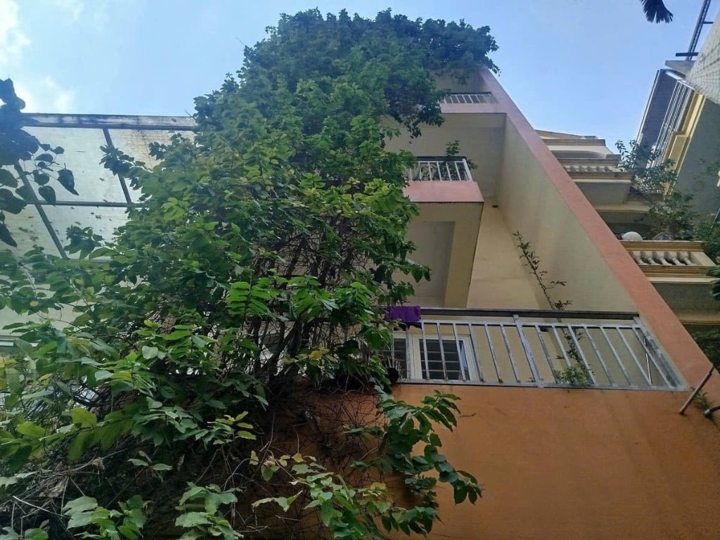 thuviennhadat.vn