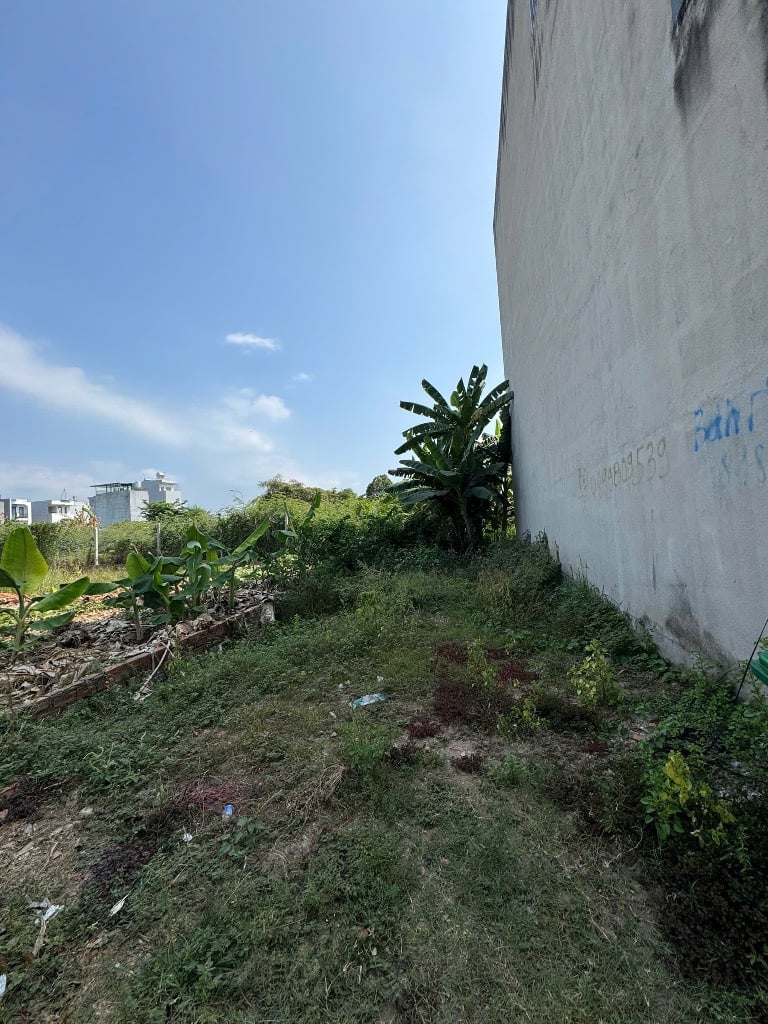 thuviennhadat.vn