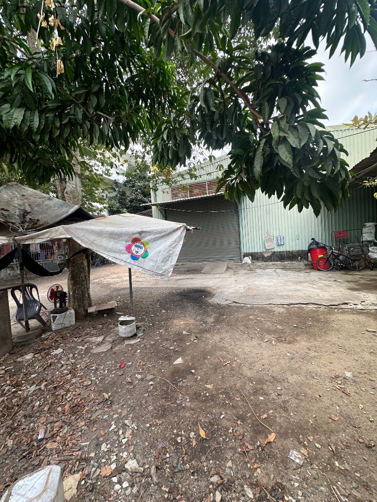 thuviennhadat.vn