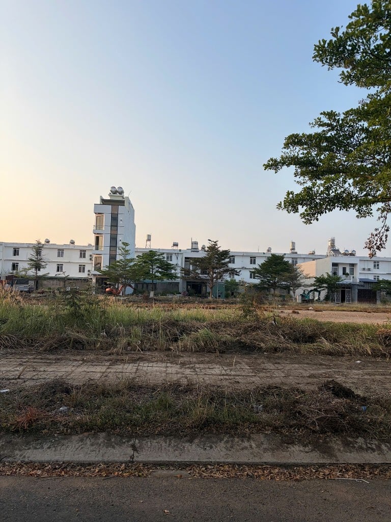 thuviennhadat.vn