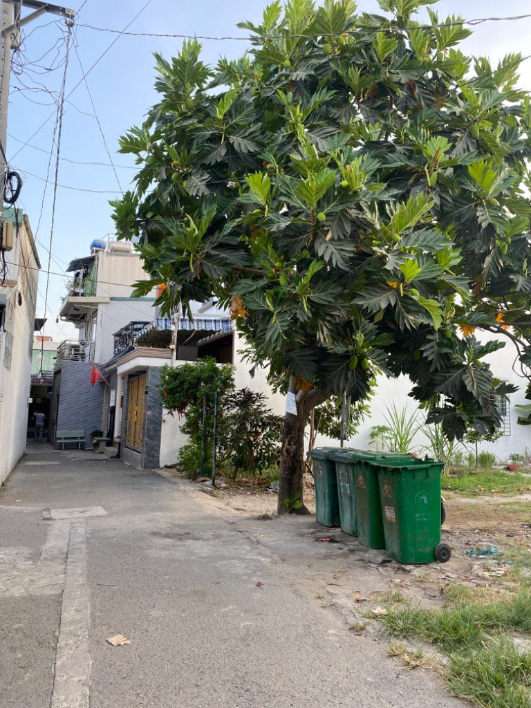 thuviennhadat.vn