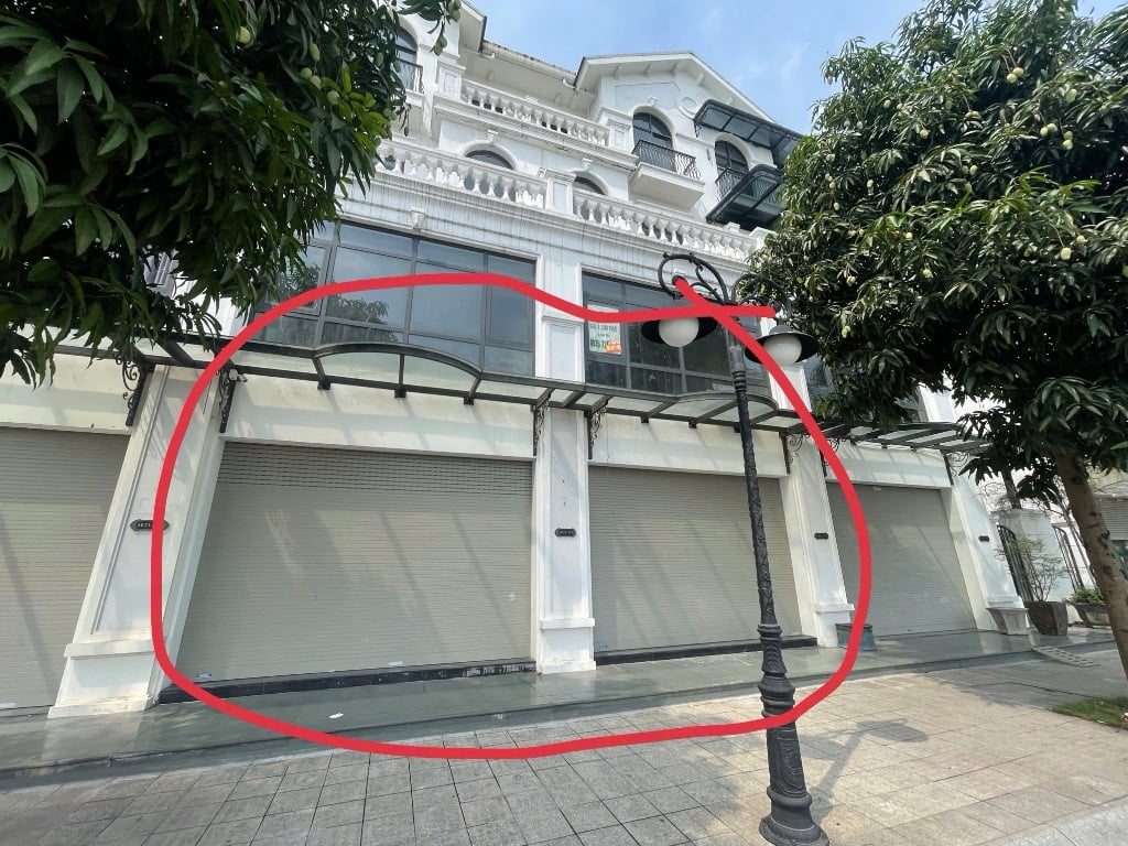 thuviennhadat.vn