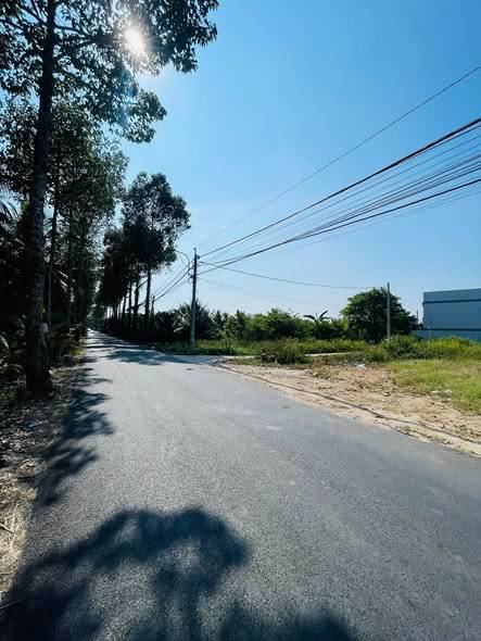 thuviennhadat.vn