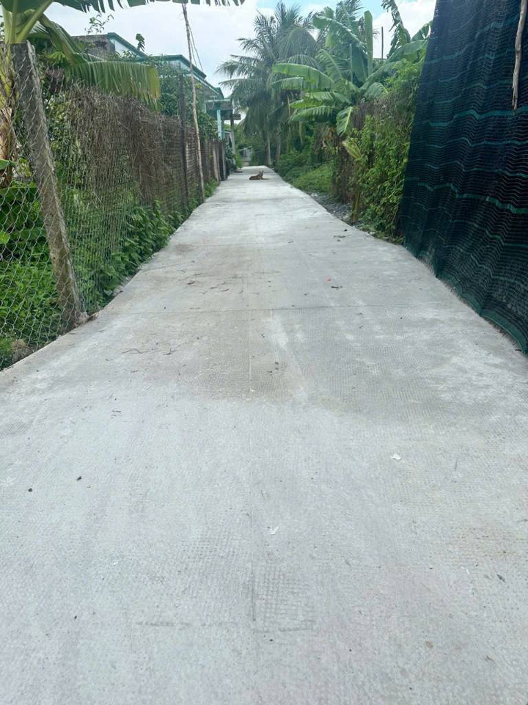 Bán 2 nền thổ cư ngã tư An Lái , xã Tân Bình, huyện Tân Trụ dt 114m2-120m2 giá 650-750 triệu