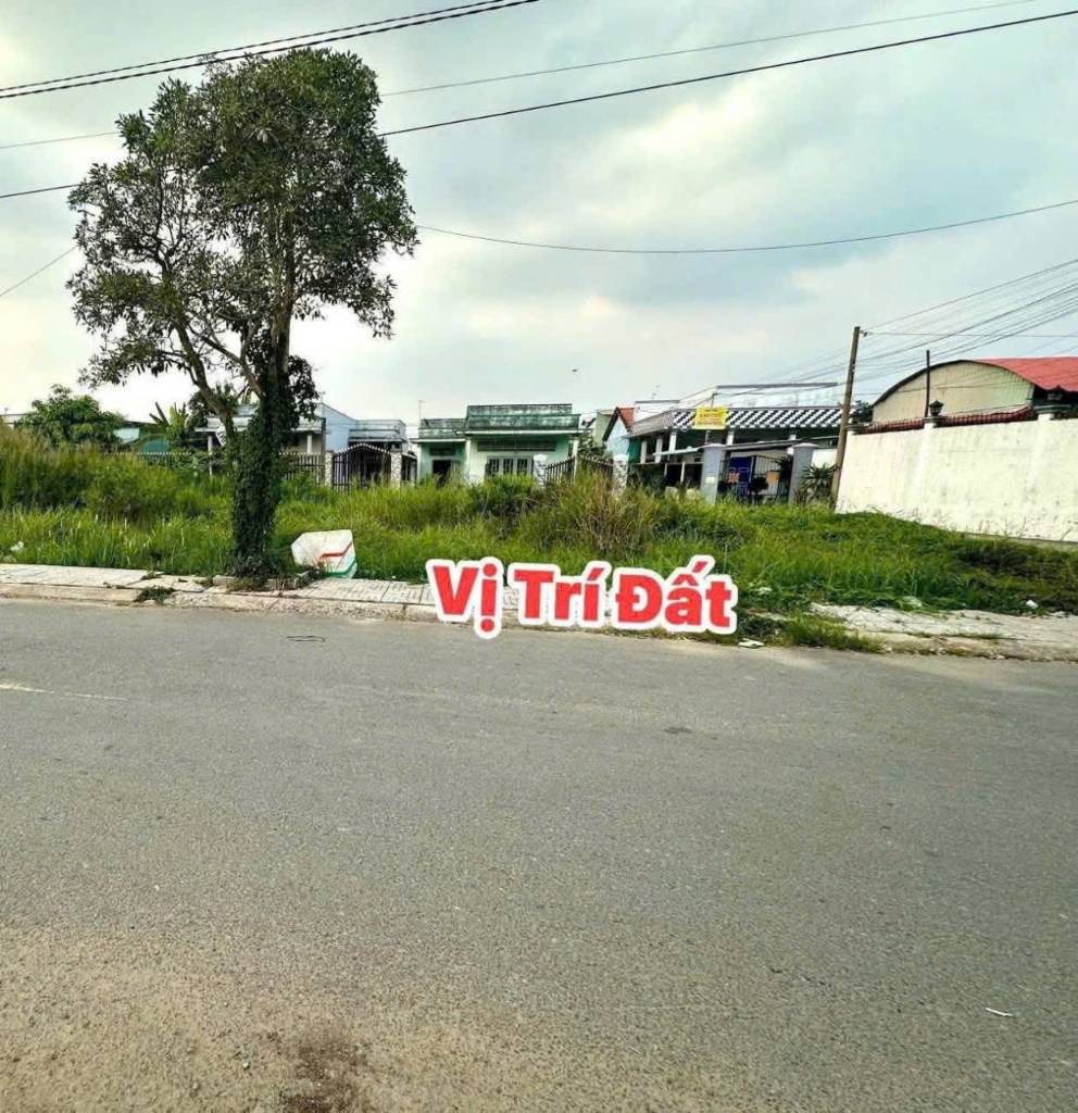 thuviennhadat.vn