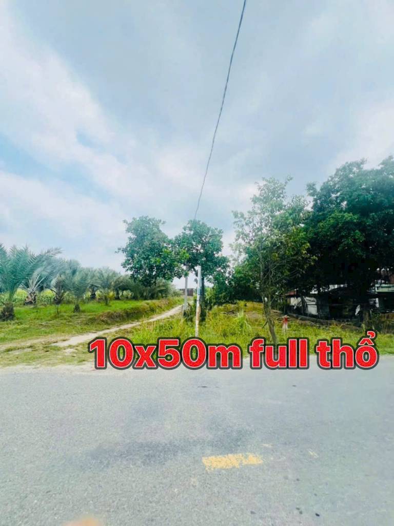 thuviennhadat.vn