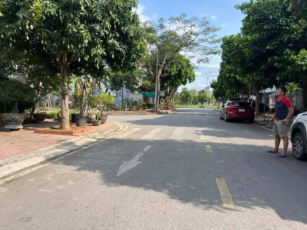 thuviennhadat.vn