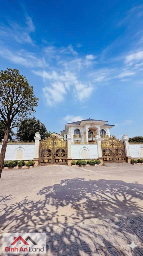Thật Khó Tin, Căn Biệt Thự Dát Vàng 24K, Nội Thất Toàn Gõ Đỏ Quý Hiếm, Giá Chỉ Hơn Căn Nhà Phố.