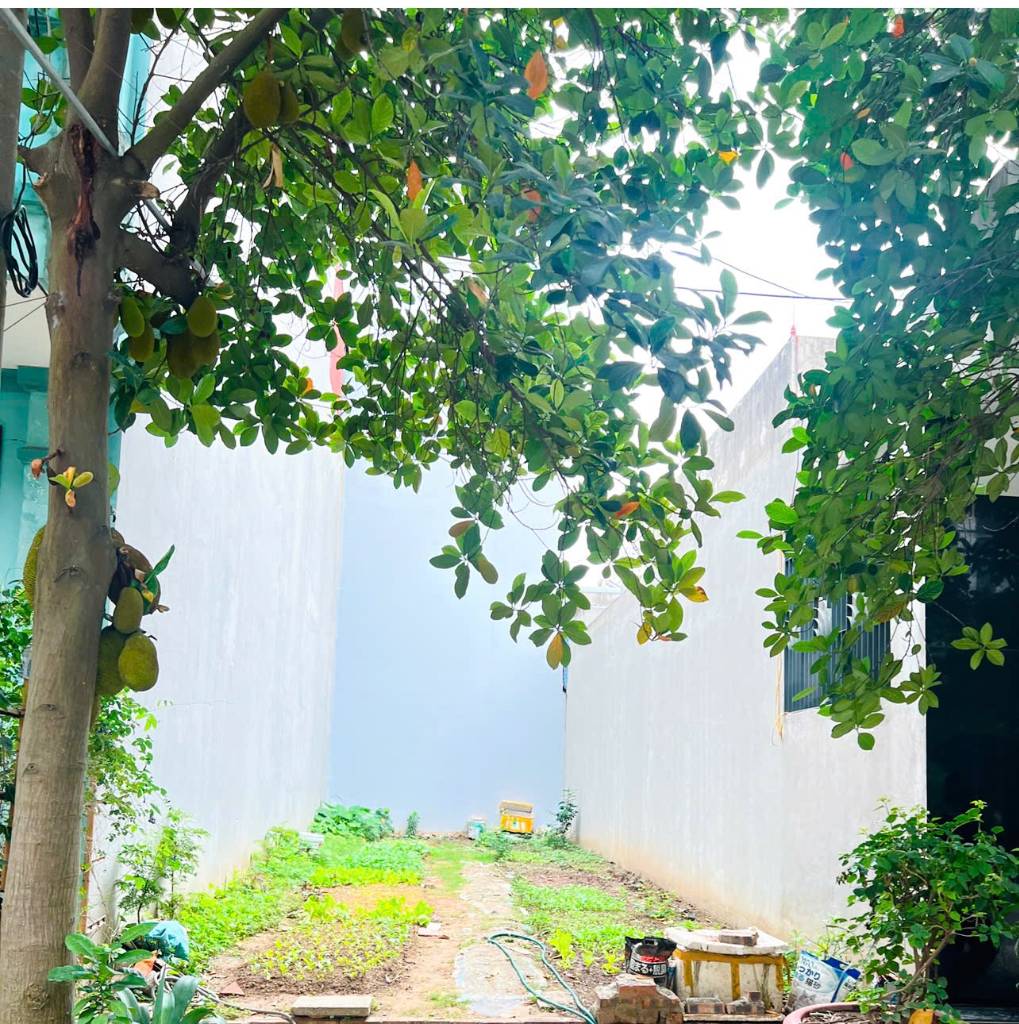 Bán đất Hồ Đá, Hồng Bàng, 63,6m² đường tuyến 1 rộng, giá đầu tư chỉ 67tr/m2