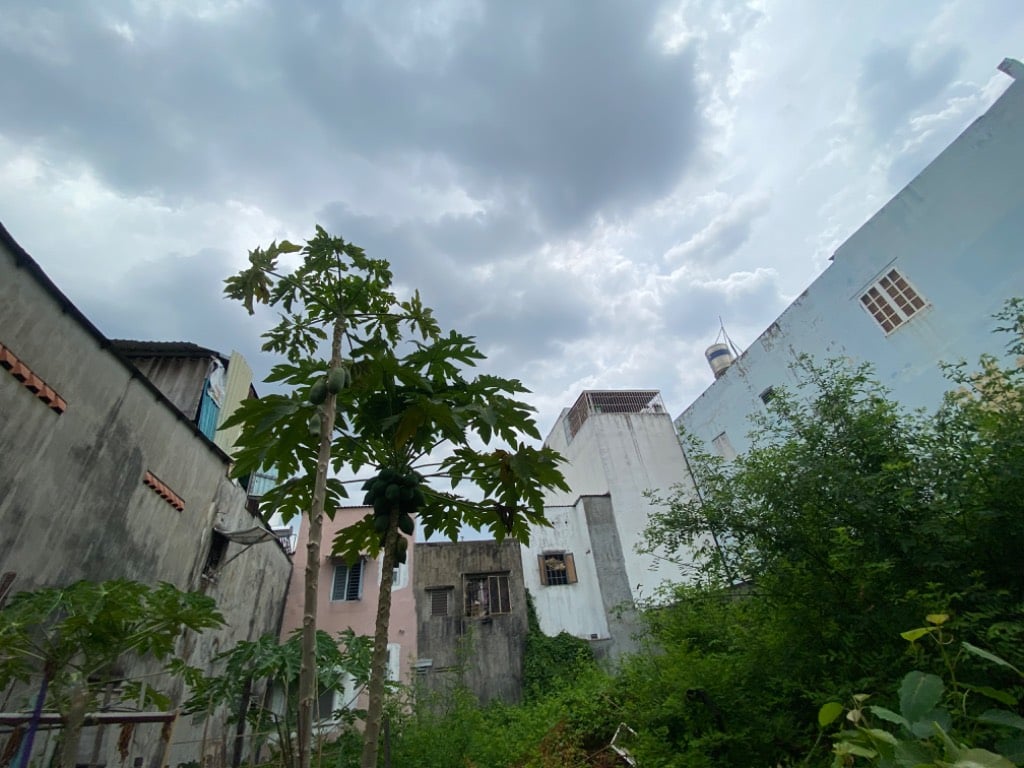 thuviennhadat.vn